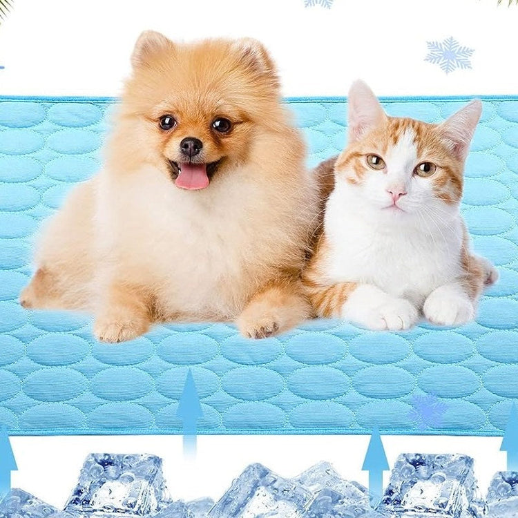 Dog and cat resting on an ice-silk cooling mat