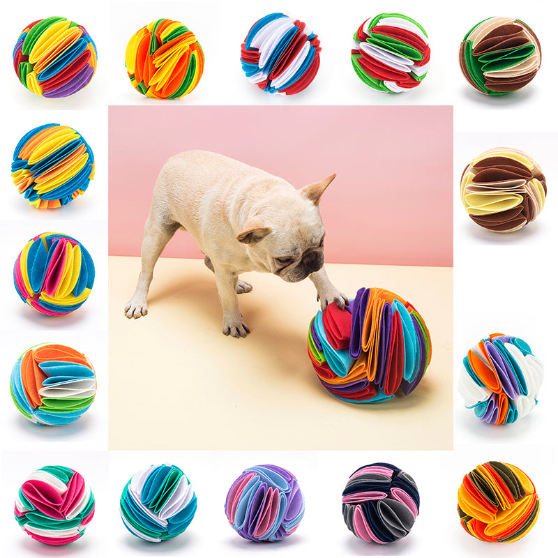 Dog nosing a snuffle ball, with the full colorway range