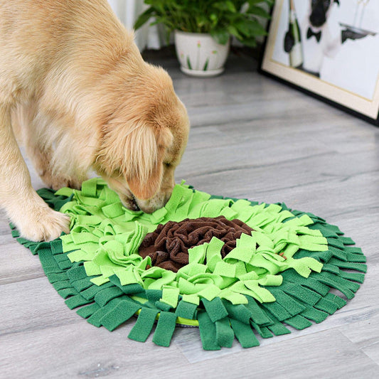 Golden retriever foraging in the Avocado XL snuffle mat