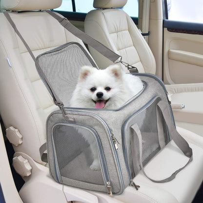 Small dog in the carrier on a car seat