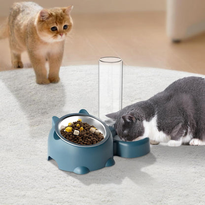 Cat eating comfortably from the raised tilted bowl set