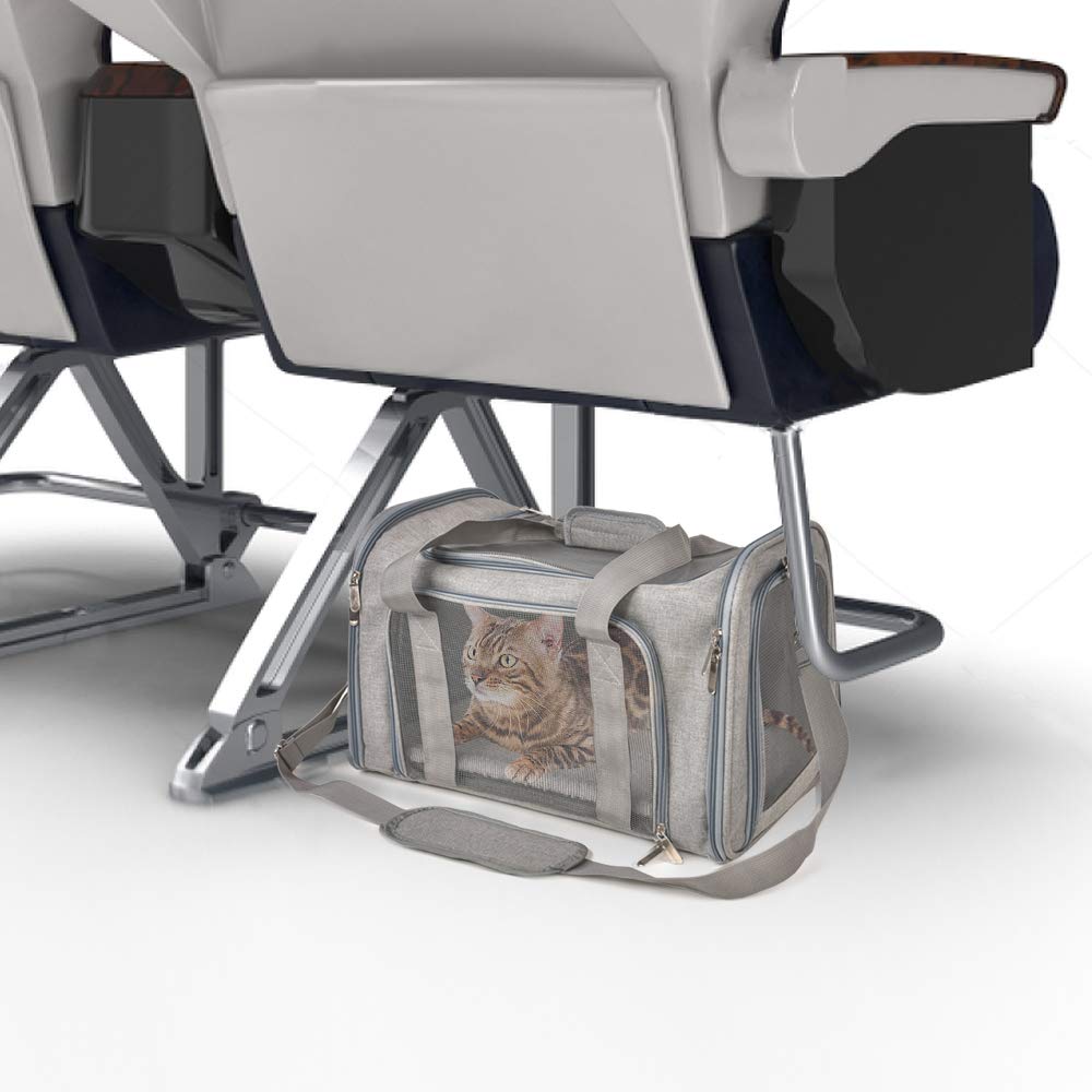 Carrier under a seat