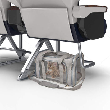 Carrier under a seat