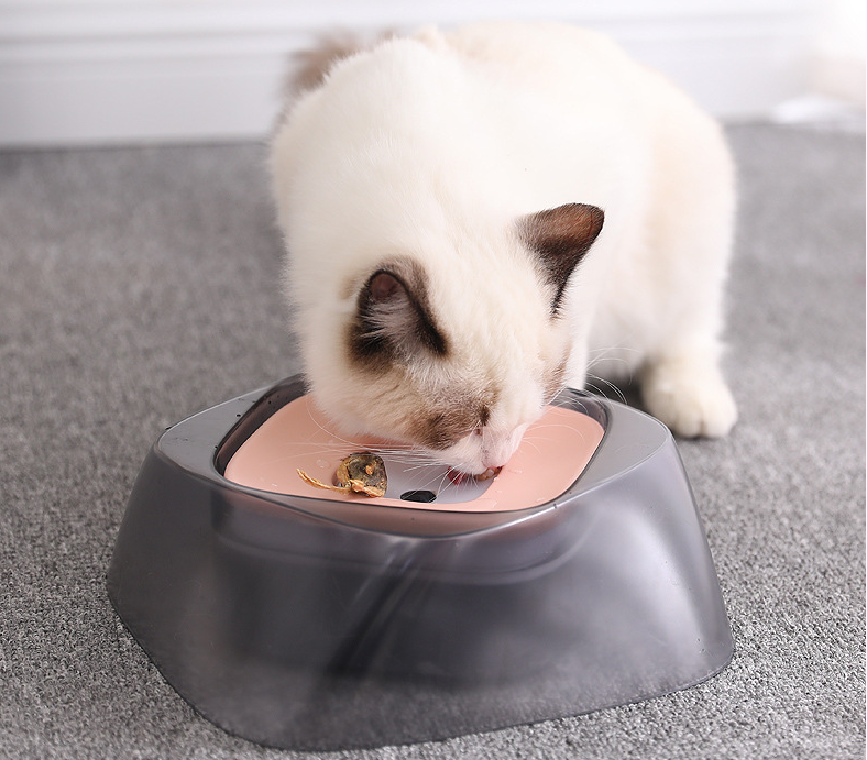 Dog drinking from the no-spill bowl — water stays inside