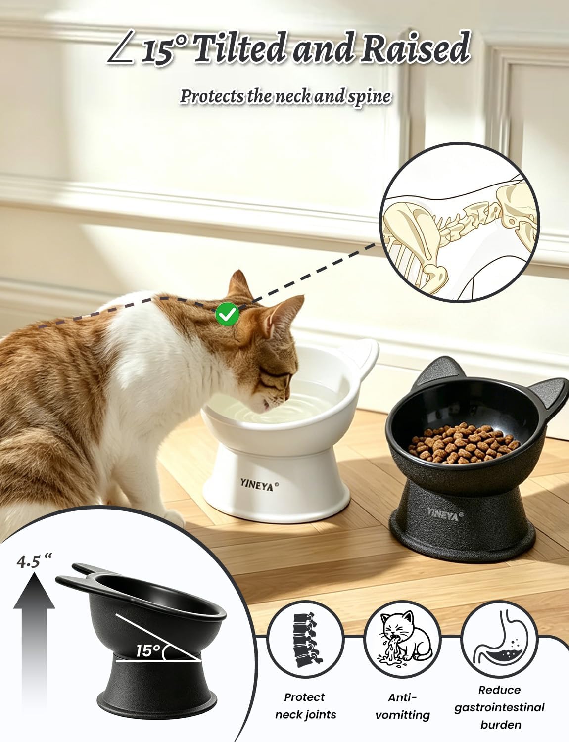 Tilted cat bowl set — whisker-friendly shallow design