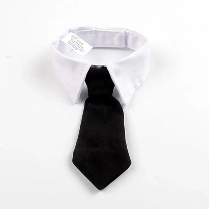 White pet shirt collar with a black satin necktie
