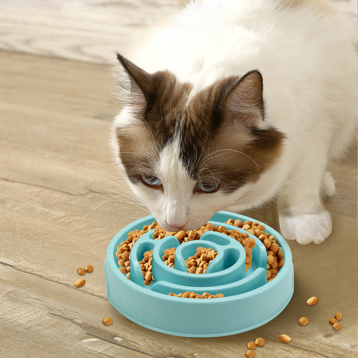 Cat eating kibble from the blue Slow Tide maze bowl