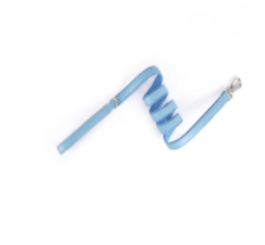 Whale Blue leather dog leash