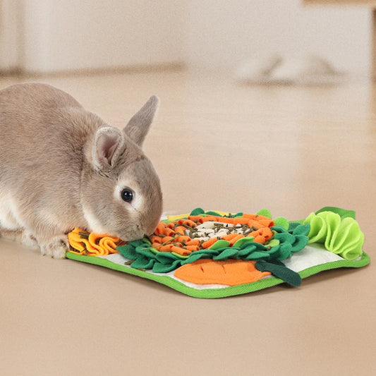 Forage & Feast Snuffle Mat — Slow-Feeding Enrichment for Dogs