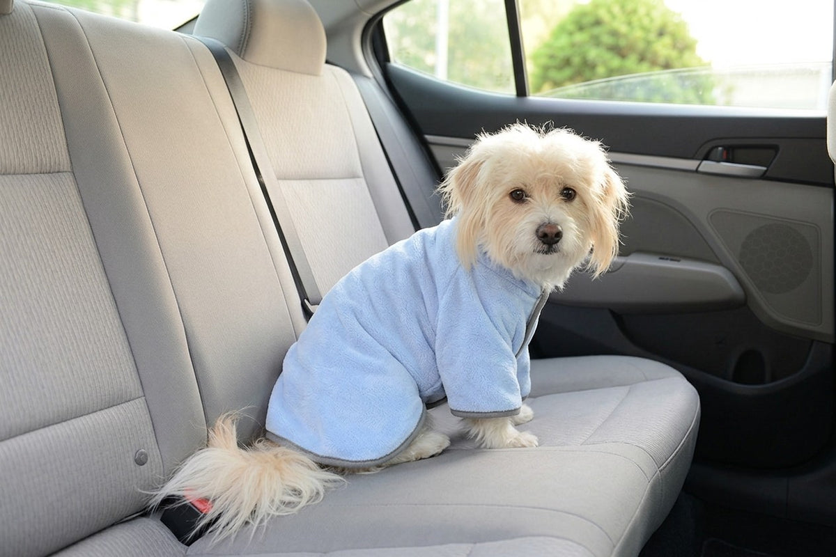 Dog in the Harbor Blue Dockside Dry robe on a car back seat