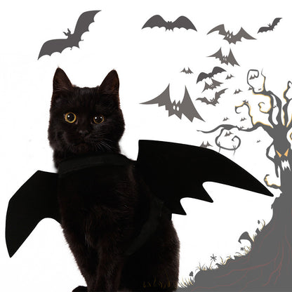 Black cat wearing black felt bat wings
