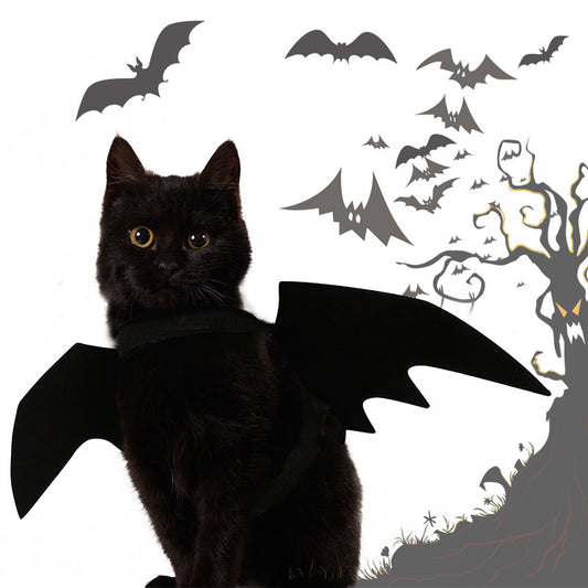 Black cat wearing black felt bat wings