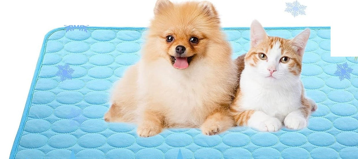 Dog and cat relaxing together on an ice-silk cooling mat
