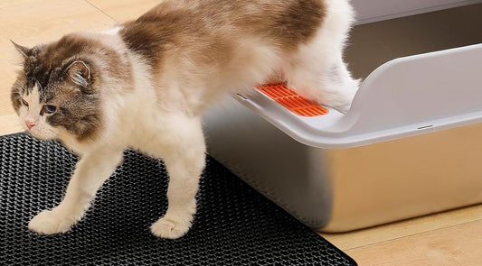 Cat stepping from the litter box onto the honeycomb litter mat